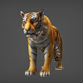 Realistic Tiger With Orange Black Stripes White Underbelly Standing On Gray Background