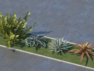 Different Types of Green Bushes and Succulents on Green Lawn with Gray Ground 3d model