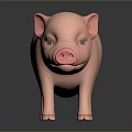Cute Pink Piglet Standing on Dark Background with Reflection 3d model