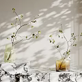 Stylish Glass Vases With Green Leaf Branches On Marble Table With Light Shadows