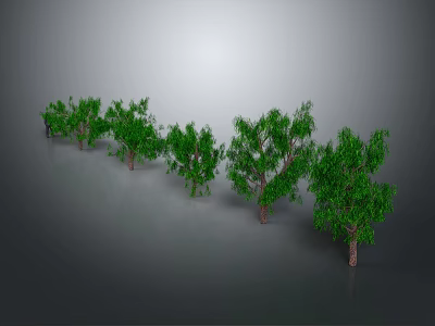 Green Trees With Lush Foliage And Various Sizes Arranged In Row On Gray Background 3d model