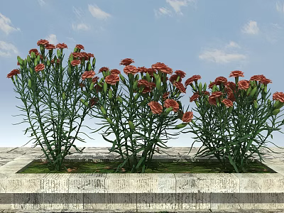 Modern Plants Flowering Plants 3d model Modern Plants Flowering Plants 3d model