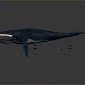3D Rendered Blue Whale With Open Mouth And Blue Body In Gradient Background