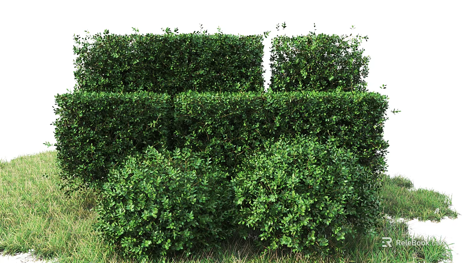 Well Trimmed Green Shrubs With Square And Round Shapes On Lush Grassland 3d model 