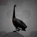 Modern Swan Black Swan 3d model