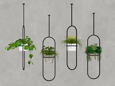 Lush Green Hanging Basket Plants with Black Ring Shaped Hangers and White Pots Indoor 3d model