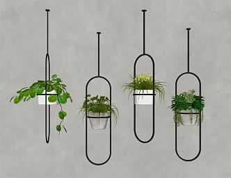 Modern Hanging Basket Green Plant Potted Plant 3d model