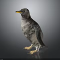 Gray and White Penguin with Yellow Beak Standing on Dark Background