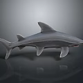 Detailed Grey Shark Figurine Displaying Open Mouth and Sharp Fins on Dark Surface