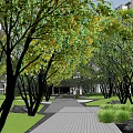 Residential Community Landscape With High Rise Buildings Green Gardens And Pathways