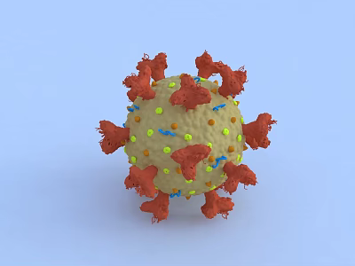 Coronavirus Virus Immune System Cancer Carcinogenesis Bacteria Leukocyte Biology Medical Research 3d model