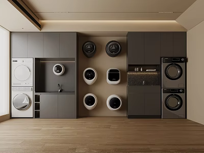 Elegant Modern Laundry Room Interior With Washing Machine And Storage Cabinets 3d model