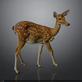 Brown White Spotted Deer With Pink Ears Standing On Dark Background
