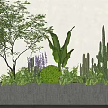 Rectangular Concrete Planter with Purple Flowers Cacti and Green Plants in Modern Indoor Space