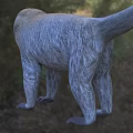 Reptile Lizard Basking On Warm Rock Surface In Natural Desert Habitat