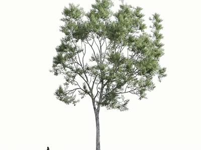 Lush Arbor With Green Foliage And Straight Trunk In Natural Growth Form 3d model