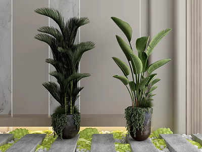 Tall Green Leafy Potted Plants In Indoor Modern Decor With Stone Slab Base 3d model