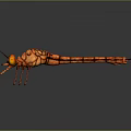 Orange Dragonfly With Detailed Mesh Wings And Transparent Structure On Dark Background