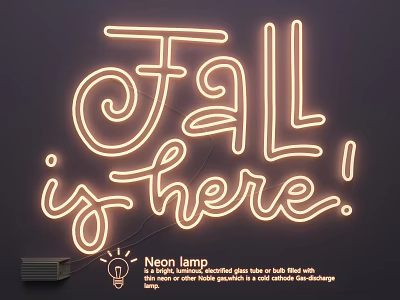 Neon Sign Lamp Combination With High Voltage Specific Gas Tube For Vivid Illumination 3d model