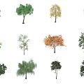The Modern Tree 3d model