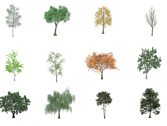 The Modern Tree 3d model