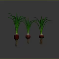 Fresh Red Onions With Green Leaves And White Roots For Healthy Cooking