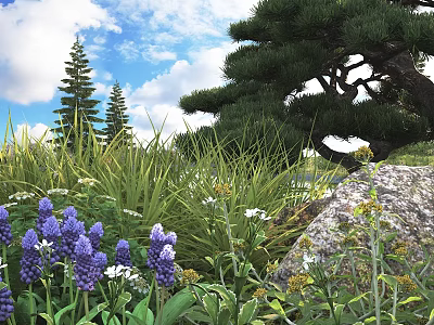 Lush Garden Shrubs With Pine Trees Purple Flowers And Rocks Under Blue Sky 3d model