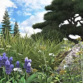 Lush Garden Shrubs With Pine Trees Purple Flowers And Rocks Under Blue Sky