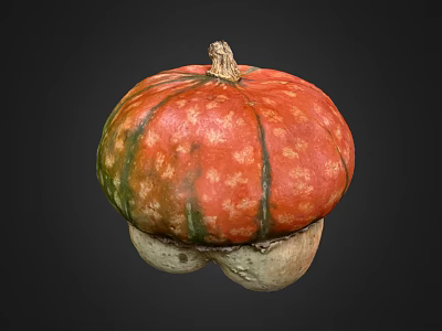 Fresh Red and Green Speckled Pumpkin with Unique Bottom Shape and Vibrant Skin 3d model