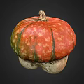 Fresh Red and Green Speckled Pumpkin with Unique Bottom Shape and Vibrant Skin