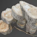 Natural Plant Tree Stumps of Various Sizes Stacked Together with Small Twigs