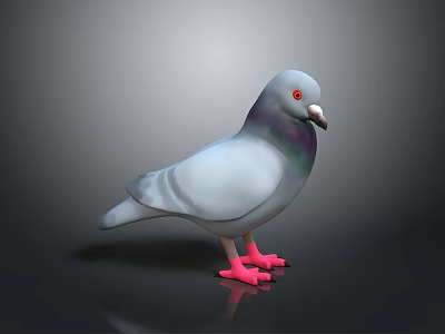 Gray Pigeon With Red Eyes And Pink Feet Standing On Black Background 3d model
