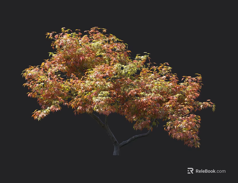 Vibrant Tree With Red And Green Leaves And Graceful Branches In Garden 3d model 