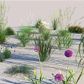 Diverse Decorative Grasses And Flowers With Green Herbaceous Plant Varieties