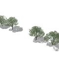 Two Green Leafy Arbor Trees With Natural Shadows In Outdoor Setting 3d model