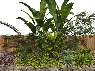 Lush Green Garden Plants With Various Tropical Leaves And Wooden Fence Background 3d model