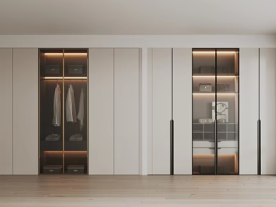 Modern Wardrobe Interior Design With White Sliding Doors Glass Panels Hanging Area And Lighting 3d model