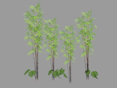 Tall Bamboo Plants With Lush Green Leaves And Ferns For Decoration 3d model