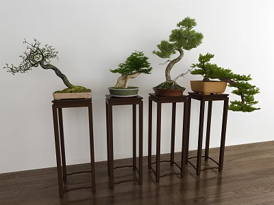 New Chinese Bonsai Flower Rack Pine Bonsai Bonsai Combination 3d model