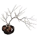 Dark Glossy Unique Shaped Vase With Decorative Dry Branches For Home Decor