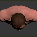 Man Bust With Bald Head And Shirtless Torso On Gray Background With Reflection