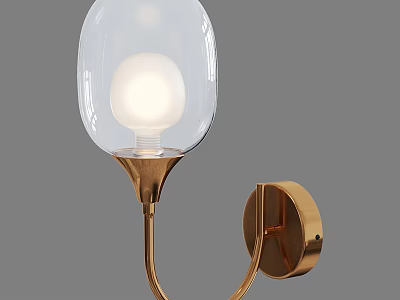 Elegant Modern Wall Lamp With Glass Shade Gold Metal Frame And Globe Bulb Design 3d model