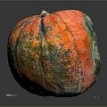 Vibrant Multi Colored Textured Pumpkin On Black Background With Reflective Surface