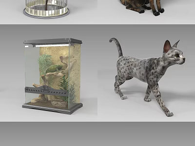Reptile Turtle In Glass Terrarium With Natural Plants And Rock Substrate Setup 3d model