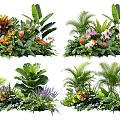 Varied Tropical Plant Combinations With Green Foliage Colorful Blooms And Palm Leaves