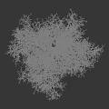 Tall Deciduous Tree With Snow Covered Bare Branches Against Gray Background