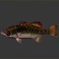 Elegant Decorative Fish Figurine For Modern Home Living Room Decoration