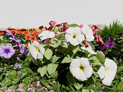 Vibrant Mixed Flowers In Natural Garden With White Red Purple Blooms And Green Leaves 3d model