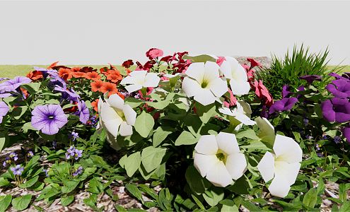 Modern Flower Grass Petunia Flower Petunia Flower Purple Flower Trumpet Flower Red Flower White Flower 3d model