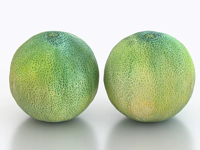 Two Fresh Green Textured Cantaloupe Melons Placed On Smooth Surface 3d model
